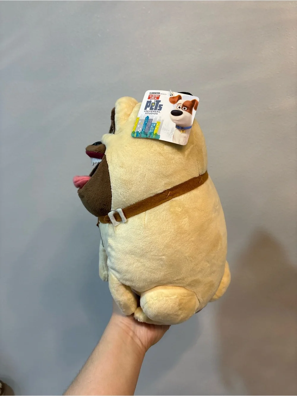 The secret life of pets Pug “Mel” from California Universal Studios